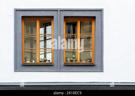 Deux fenêtres rectangulaires grises avec des cadres en bois brun contre un mur blanc. De la série fenêtre du monde. Banque D'Images