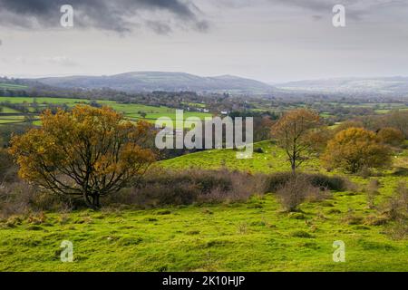 Dolebury Warren Hill fort dans le paysage national de Mendip Hills à la fin de l'automne, North Somerset, Angleterre. Banque D'Images