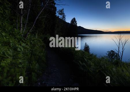 La boucle du lac Jenny serpente à travers des fougères le long du lac Jenny à l'aube. Parc national de Grand Teton, Wyoming Banque D'Images