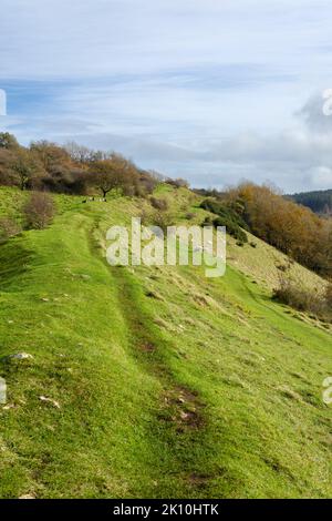 Les remparts défensifs du fort de colline à Dolebury Warren dans le paysage national de Mendip Hills, North Somerset, Angleterre. Banque D'Images