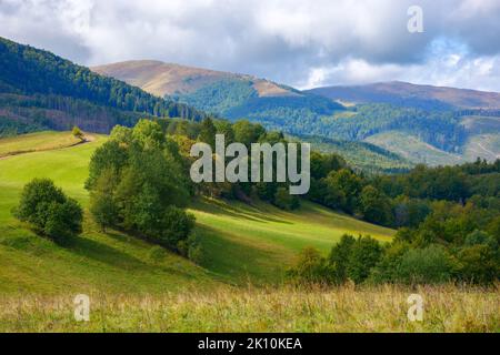 paysage de montagne au début de l'automne. arbres sur la colline herbeuse en lumière taillée. crête au loin sous un ciel nuageux Banque D'Images