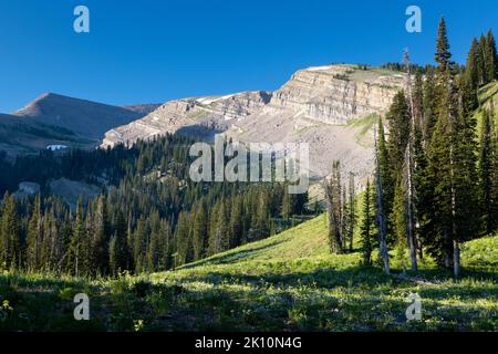 Hauts sommets de Teton s'élevant au-dessus du haut Granite Canyon le long de la piste de coupure Middle Fork. Parc national de Grand Teton, Wyoming Banque D'Images