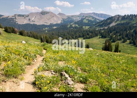 Le sentier Teton Crest Trail descendant dans les régions Middle Fork et South Fork de Granite Canyon. Parc national de Grand Teton, Wyoming Banque D'Images