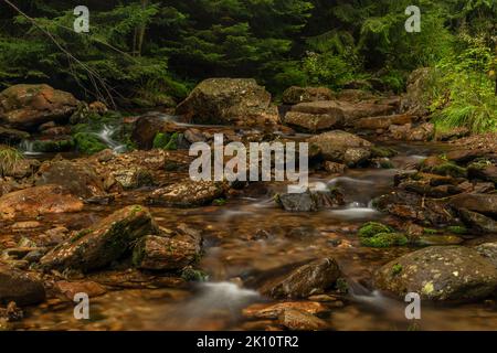 ruisseau Svatopetrsky près de la ville de Spindleruv Mlyn dans les montagnes de Krkonose en été Banque D'Images