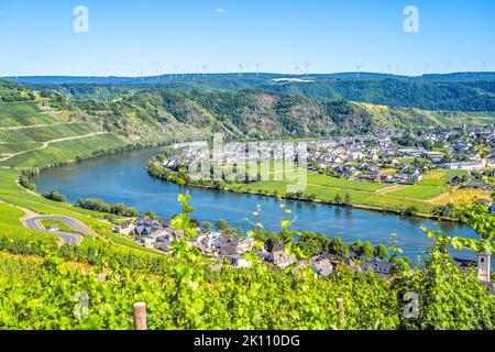 Vue sur la vallée de la Moselle à Piesport, Allemagne Banque D'Images