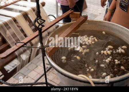 cocons de silkworms blancs élevés pour produire de la soie , soie brute Banque D'Images