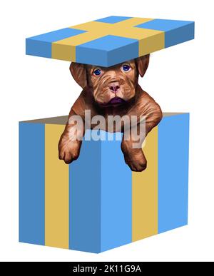 Un chien de chiot est vu dans une boîte-cadeau avec le couvercle de boîte équilibré sur sa tête. Il s'agit d'une illustration 3-d sur un arrière-plan transparent. Banque D'Images