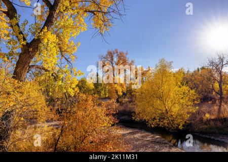 Une vue panoramique d'une petite crique qui s'enroule à travers le paysage lors d'une jolie journée d'automne dans le Colorado. Banque D'Images