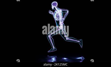 Squelette de l'homme de course, os Anatomie pendant la course, humain physique et sport, jogging, homme de course, médicalement précis, fitness, Courir humain Banque D'Images