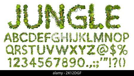 Police de caractères, police de caractères, alphabet de type de lianas de la jungle de dessins animés. Vecteur abc lettres majuscules, chiffres et signes de ponctuation. Symboles anglais ou latin des feuilles et branches vertes de palmier, ensemble de caractères isolé Illustration de Vecteur
