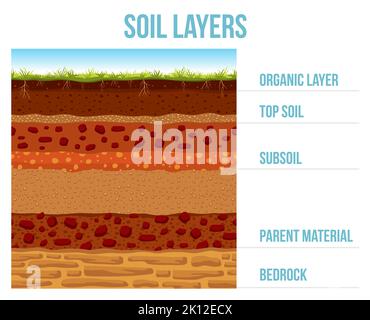 Infographie sur la couche de sol, formation géologique de la terre, substrat, matériau parent, sous-sol, sol supérieur et couche organique, section transversale du sol et surface de dessin animé souterraine. Infographies vectorielles Illustration de Vecteur