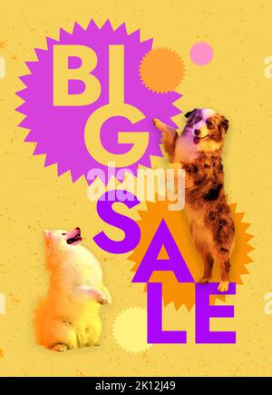 Design artistique créatif. Image conceptuelle. De magnifiques chiens assis sur fond jaune. Grande affiche de vente. Publicité Banque D'Images