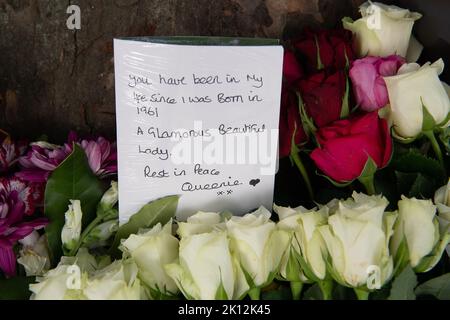 Londres, Royaume-Uni. 14th septembre 2022. Suite à la triste mort de sa Majesté la Reine, de beaux hommages floraux ont été laissés par les amateurs de tournants autour de la base des citronniers dans Buckingham Palace Gardens, Londres. Crédit : Maureen McLean/Alay Live News Banque D'Images