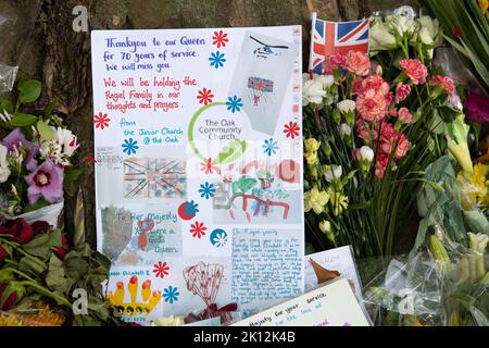 Londres, Royaume-Uni. 14th septembre 2022. Suite à la triste mort de sa Majesté la Reine, de beaux hommages floraux ont été laissés par les amateurs de tournants autour de la base des citronniers dans Buckingham Palace Gardens, Londres. Crédit : Maureen McLean/Alay Live News Banque D'Images