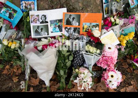 Londres, Royaume-Uni. 14th septembre 2022. Suite à la triste mort de sa Majesté la Reine, de beaux hommages floraux ont été laissés par les amateurs de tournants autour de la base des citronniers dans Buckingham Palace Gardens, Londres. Crédit : Maureen McLean/Alay Live News Banque D'Images