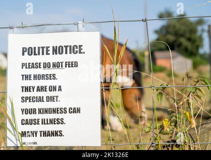 Panneau de signalisation poli, ne pas nourrir les chevaux placés sur une clôture en fil de fer à l'extérieur d'une zone de paddock où vous pouvez voir un cheval. Banque D'Images