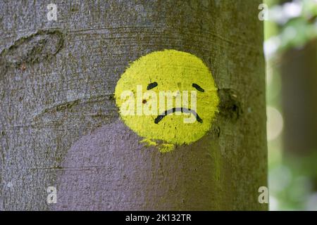 Un triste visage jaune smiley peint sur un arbre dans la nature Banque D'Images