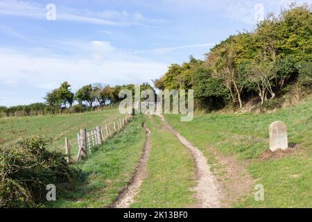 Sentier rural menant à Knowle Hill et à Cocknowle dans l'île de Purbeck, Dorset, Angleterre Banque D'Images