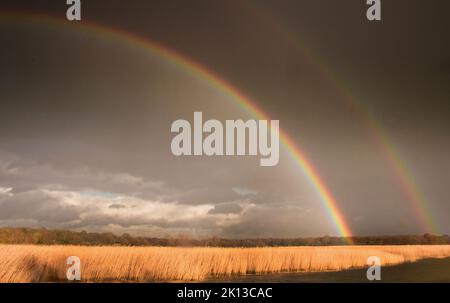 Double arc-en-ciel contre le ciel sombre et orageux à Snape, Suffolk, Angleterre Banque D'Images