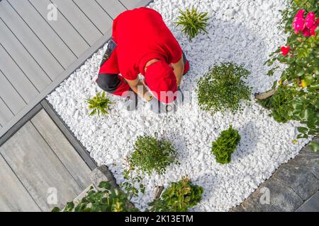 Paysagiste caucasien professionnel dans son 40s installation moderne dans le sol éclairage LED à l'intérieur nouvellement conçu jardin d'arrière-cour. Quartier résidentiel Yard Ilumina Banque D'Images