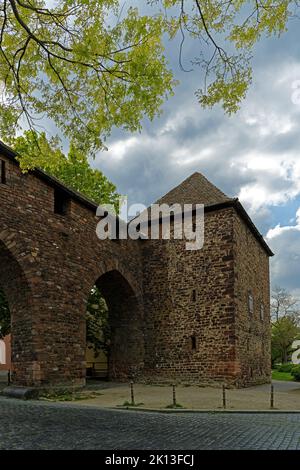 Raschitor, Stadtmauer *** Légende locale *** Europe, Allemagne, Rhénanie-Palatinat, Worms, Karolingerstraße, Schum-City, Raschitor, mur de la ville, vue, Banque D'Images