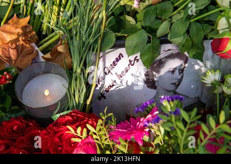 Green Park, Londres, Royaume-Uni. 14th septembre 2022. Aujourd'hui, des milliers de amateurs de tourniquets sont venus voir les spectaculaires expositions florales. Après la triste mort de sa Majesté la Reine, de beaux hommages floraux ont été laissés par les amateurs de Green Park près de Buckingham Palace. Les fleurs qui ont été laissées à l'extérieur des portes du Palais de Buckingham y ont également été transférées. Crédit : Maureen McLean/Alay Live News Banque D'Images