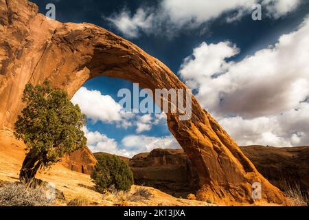 Une photo sous angle de l'arche de Corona en pierre le matin à Moab, Utah Banque D'Images