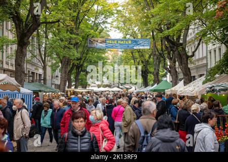 Zwiebelmarkt à Weimar Banque D'Images