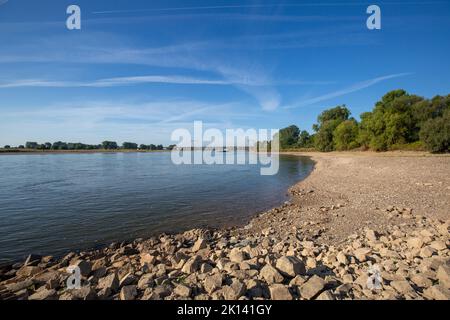 Meerbusch - vue sur deux aéroports - ponts, où manque de pluie au cours du mois dernier avec avoir brûlé des plantes, Rhénanie du Nord Westphalie, allemagne, 21.08.2022 Banque D'Images