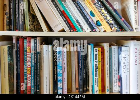 Divers livres d'art et de philosophie sur une bibliothèque Banque D'Images