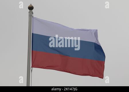 Saint-Pétersbourg, Russie. 15th septembre 2022. Le drapeau de la Russie vu dans la galerie des drapeaux des pays participants dans le cadre du Forum international du gaz de Saint-Pétersbourg 2022 (Credit image: © Maksim Konstantinov/SOPA Images via ZUMA Press Wire) Banque D'Images