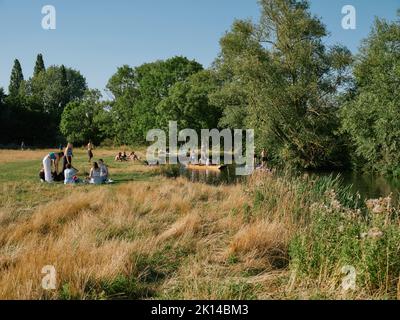 La vie d'été sur Grantchester Meadows sur la rivière Cam à Cambridge Cambridgeshire Angleterre Royaume-Uni - l'été campagne gens pique-nique Banque D'Images