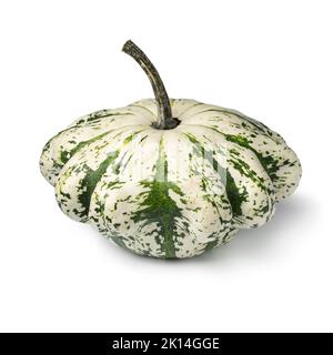 Patypan squash, Cucurbita pepo fruit, blanc vert disque variété, isolé sur fond blanc Banque D'Images