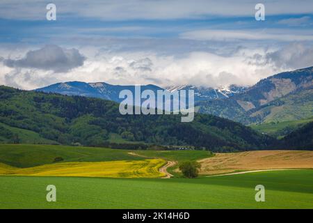 Paysage de printemps de prairies et de forêts. La chaîne de montagnes des basses Tatras en arrière-plan, Slovaquie, Europe. Banque D'Images