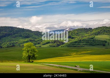 Paysage de printemps de prairies et de forêts. La chaîne de montagnes des basses Tatras en arrière-plan, Slovaquie, Europe. Banque D'Images