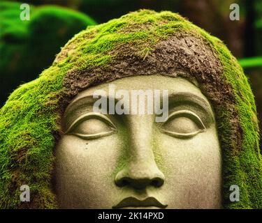 Une tête de statue en pierre recouverte de mousse Banque D'Images