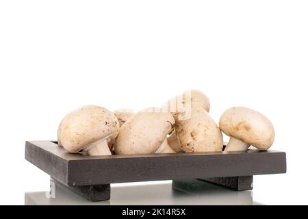 Plusieurs champignons frais sur un plateau en bois, isolés sur fond blanc. Banque D'Images