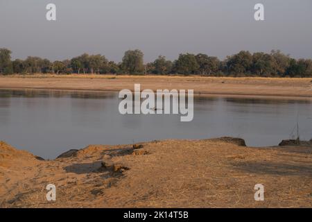 Une vue incroyable d'un groupe d'hippopotames se reposant dans une rivière africaine Banque D'Images