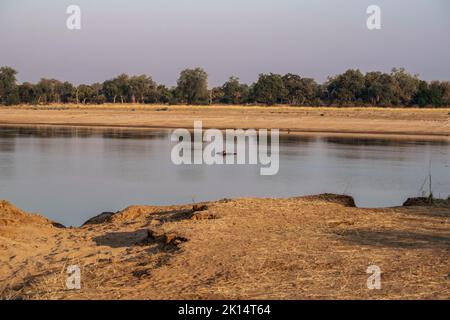 Une vue incroyable d'un groupe d'hippopotames se reposant dans une rivière africaine Banque D'Images