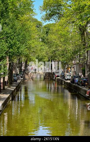 Amsterdam, pays-Bas - août 2022 : vue panoramique sur l'un des canaux de la ville avec feuillage d'été sur les arbres Banque D'Images