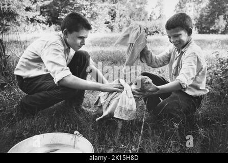 Les frères donnent un bain à leur chien mixte.Texas, Circa années 1960. Banque D'Images