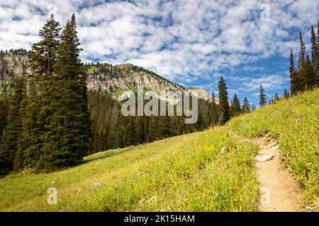 Le sentier Granite Canyon Trail monte dans les hauteurs supérieures du Granite Canyon. Parc national de Grand Teton, Wyoming Banque D'Images