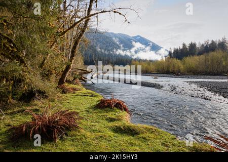 WA22031-00...WASHINGTON - la rivière Hoh dans la vallée de la rivière Hoh, dans la forêt tropicale du parc national olympique. Banque D'Images