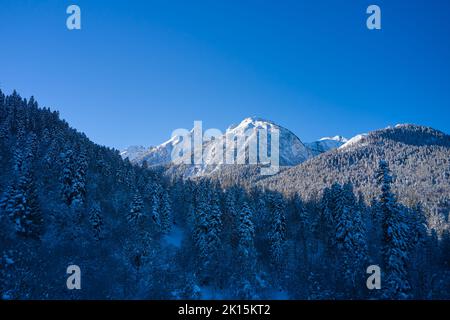 Pic de montagne en hiver et sapins enneigés. Banque D'Images