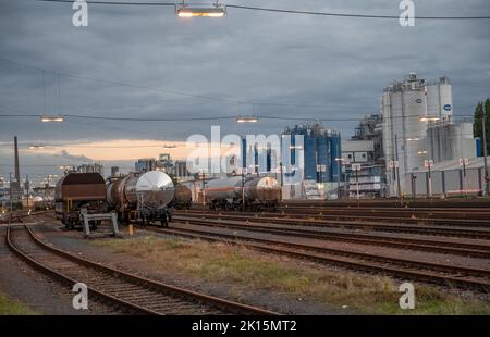 Cologne septembre 2022: Godorfer Hafen est le port de Cologne avec le chiffre d'affaires le plus élevé. Il est à Cologne-Godorf sur le Rhin inférieur au km 671,9 sur le Banque D'Images