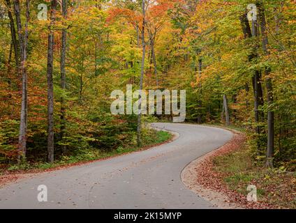 Cette courbe De « S » sur la route de Cottage Row dans le comté de Northern Door est encadrée par la couleur vive de l'automne, le comté de Door, Wisconsin Banque D'Images