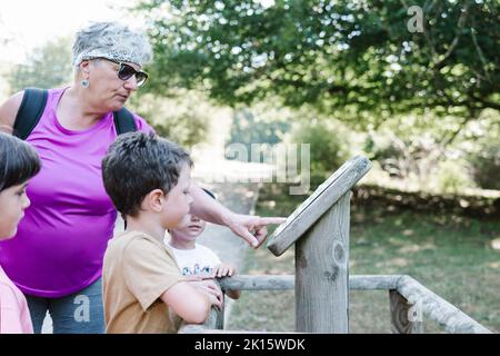 Grand-mère aveugle dans des lunettes touchant et lisant le braille sur le panneau pour petits-enfants tout en se tenant debout dans une allée le jour ensoleillé de l'été dans le parc Banque D'Images