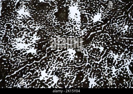 Vue de dessus de taches de neige blanche couvrant la surface rugueuse de roche noire dans la nature Banque D'Images