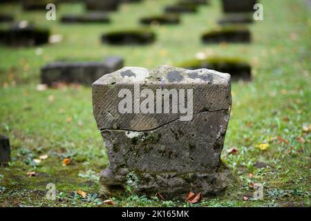 tombe ancienne avec une fissure dans un cimetière abandonné Banque D'Images