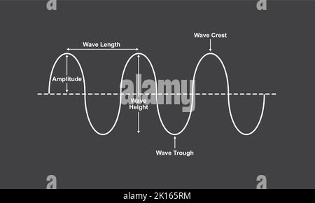 Propriétés de base de la courbe. Les parties de Wave. Illustration vectorielle. Illustration de Vecteur